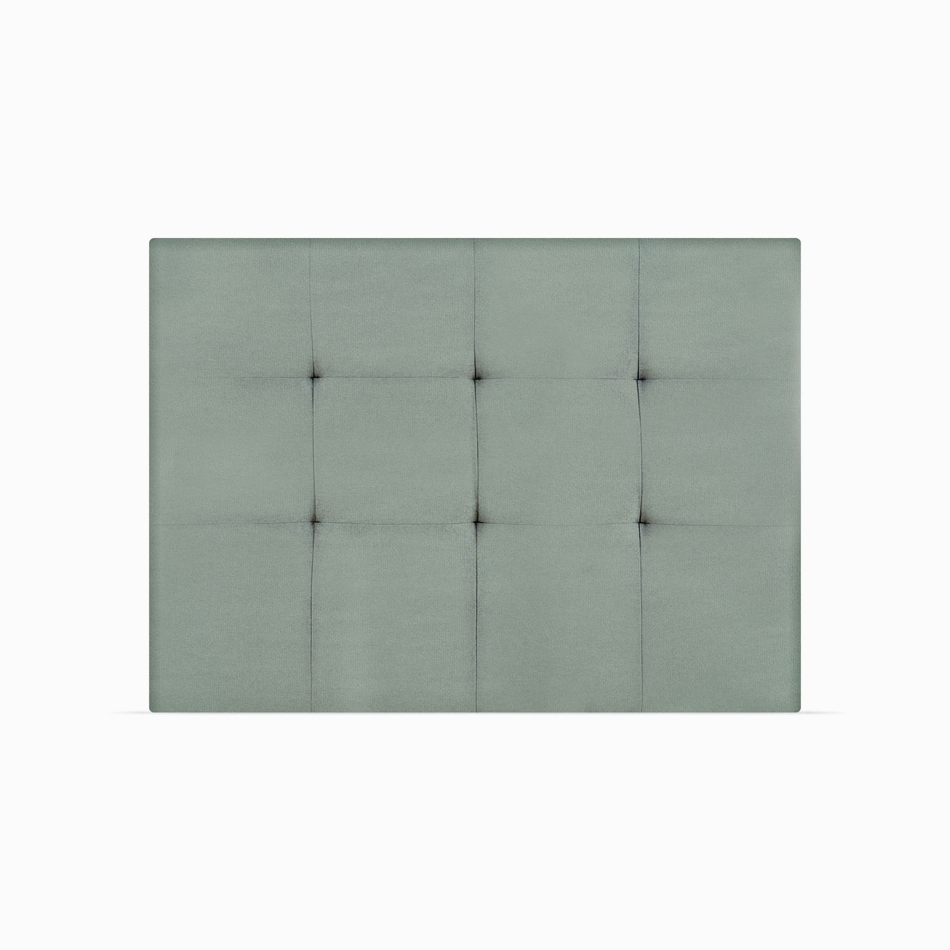 MaxColchon attribute Kittens Oceano
