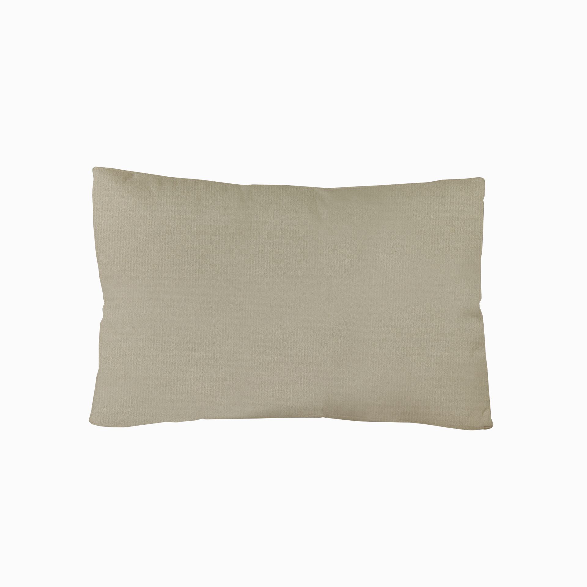 MaxColchon attribute Kittens Topo