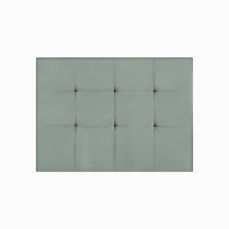 MaxColchon attribute Kittens Oceano